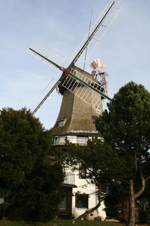 Windmühle in der Umgebung